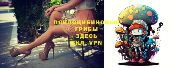 ГАЛЛЮЦИНОГЕННЫЕ ГРИБЫ Новозыбков